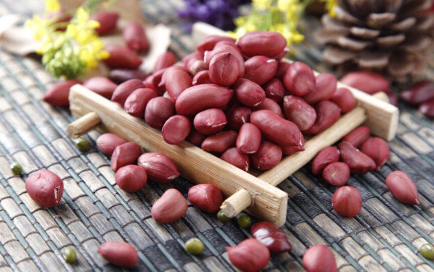 掌握这几个种植小技巧，种出颗颗饱满的花生